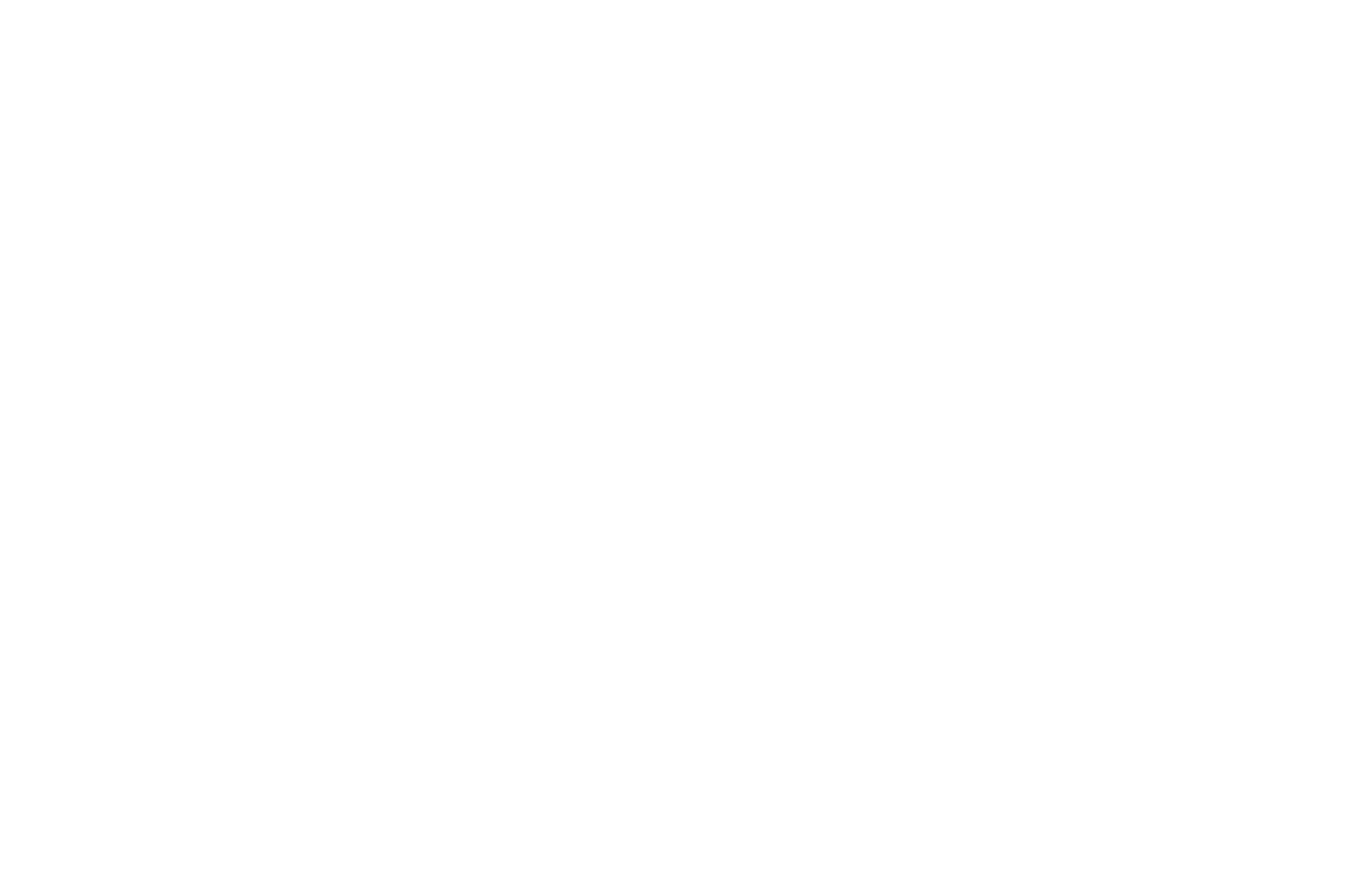 polo.png